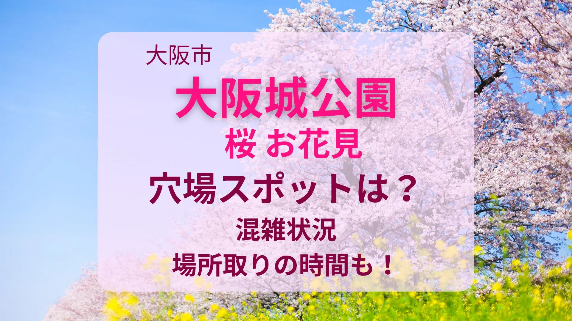 大阪城公園の桜お花見の穴場・混雑